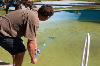 cheapest pool cleaner