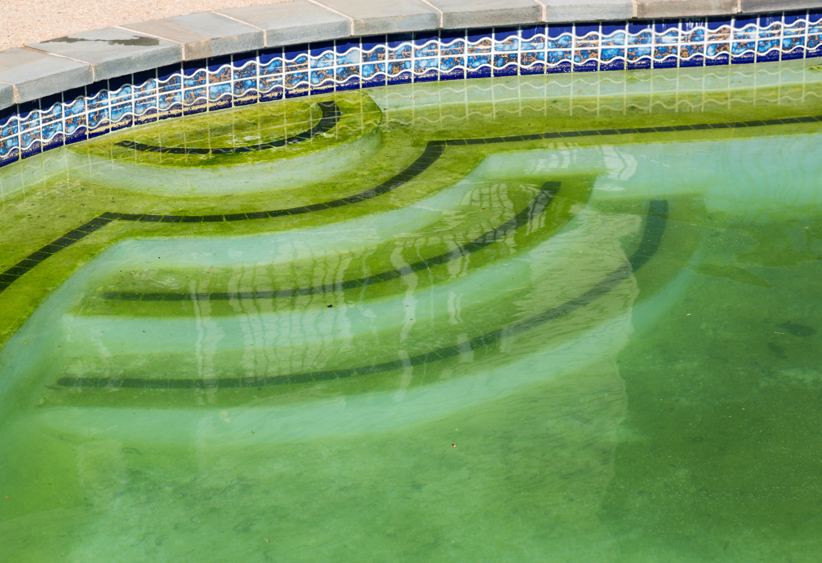 What Temperature Does Algae Grow in a Pool 