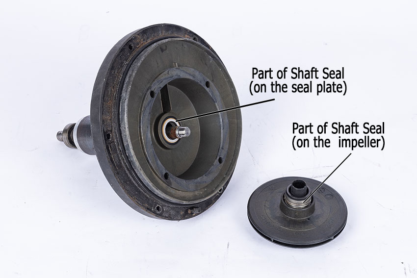 How to Remove and Replace Pool Pump Impeller