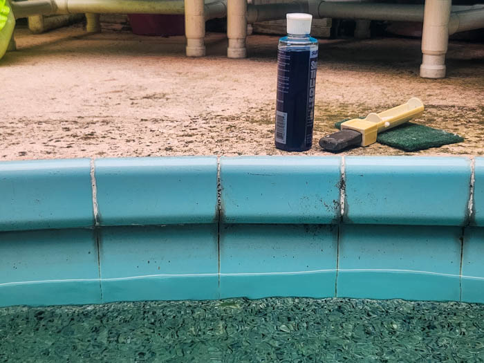 5 Best Cleaners For Pool Tile Waterline (2023)